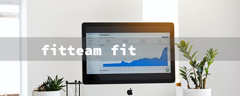 fitteam fit（Fit Sticks: Title Word Requirements）