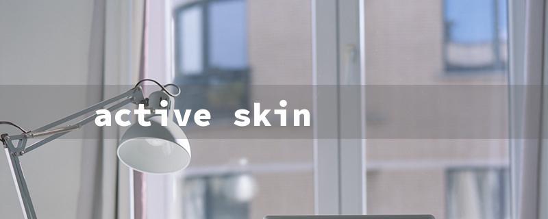 active skin（Skin Repair Boost）