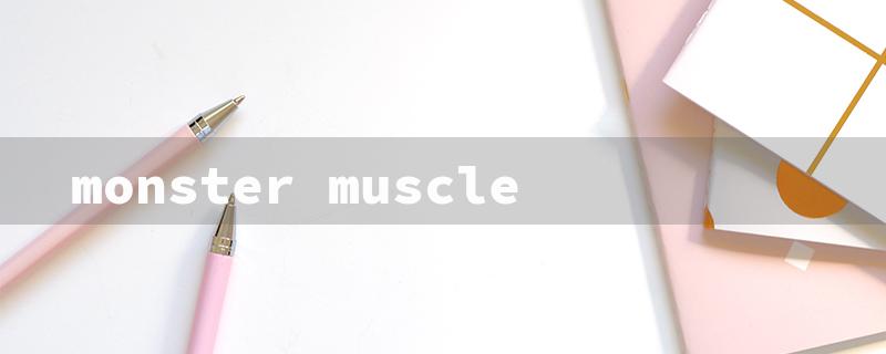 monster muscle（Monster Muscle Gym）