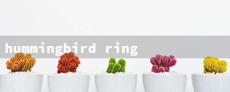 hummingbird rings（Hummingbird Rings for Sale）