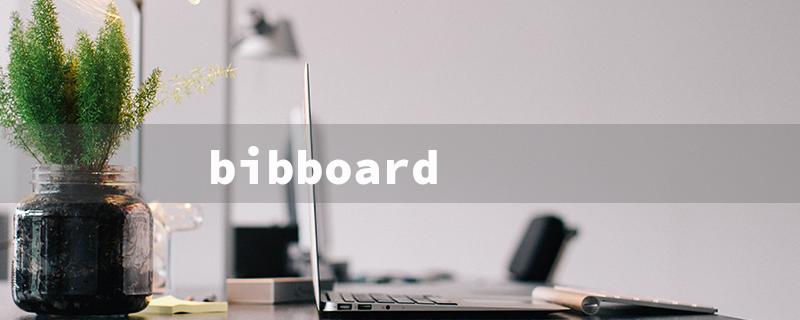 bibboard