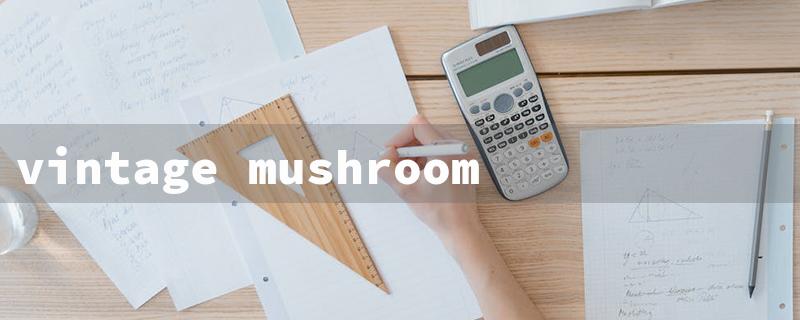 vintage mushroom kitchen set（Retro Shroom Kitchen Set）