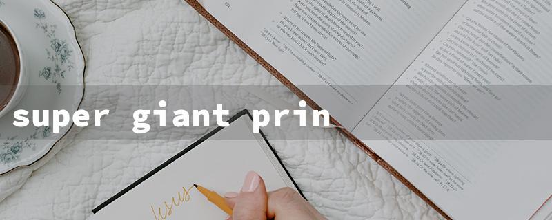 super giant print bible