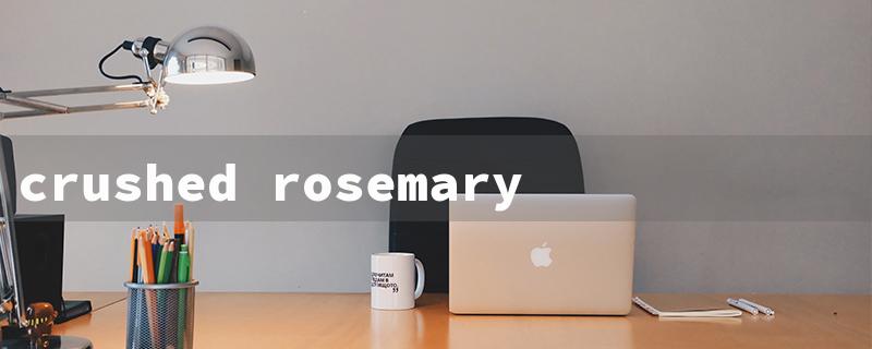 crushed rosemary（Crushed Rosemary vs Leaves）