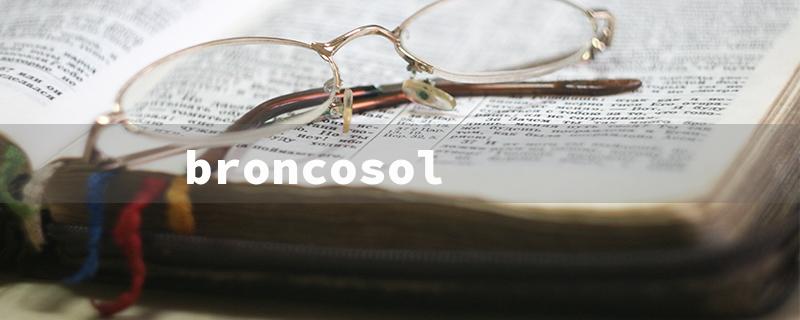 broncosol（Broncosol Honey: Title Word Requirements）