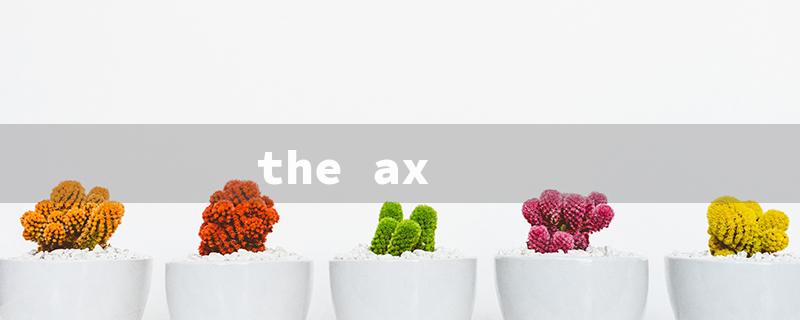 the ax（Bar Axes & Fun）