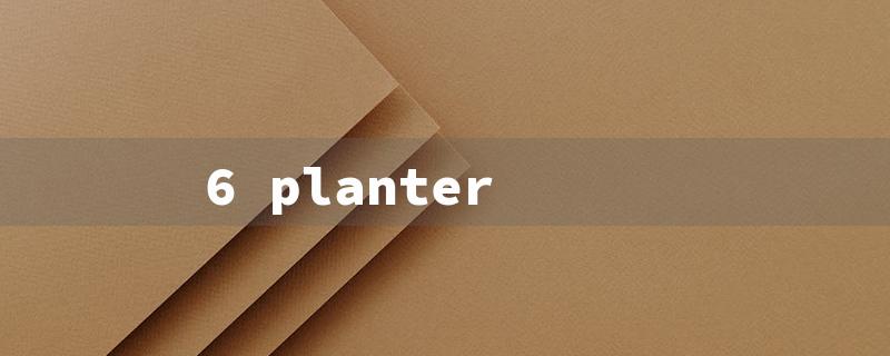 6 planter（6 Pot Planter: Title Word Limit - 15）