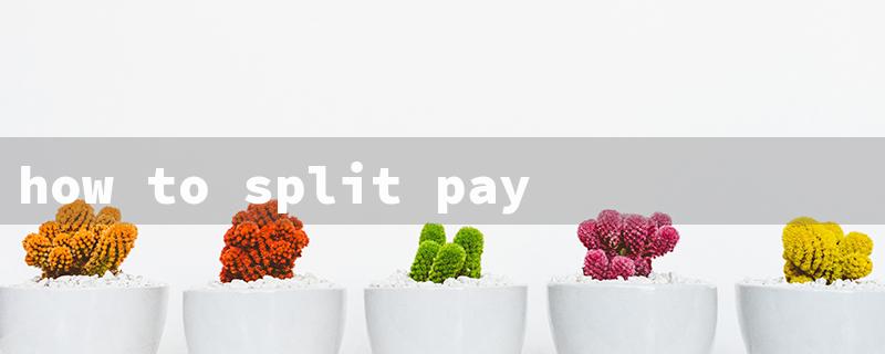 how to split payments on amazon（Split Payment on Amazon）