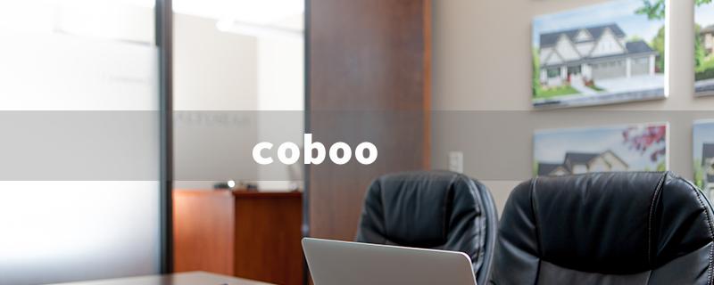 coboo（Coboo Pump Spray）