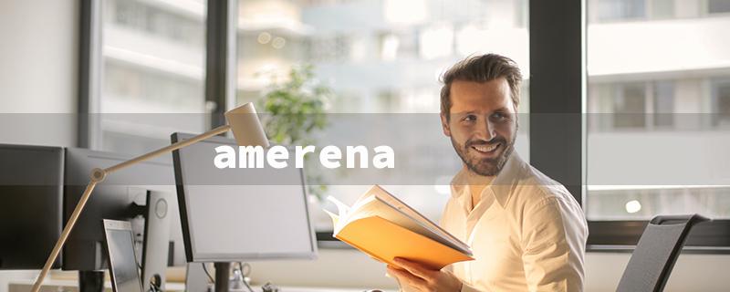 amerena（Amarena Query: Title Word Limit - 15 Characters）