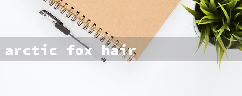 arctic fox hair dye poison（Arctic Fox Red Dye Poison）