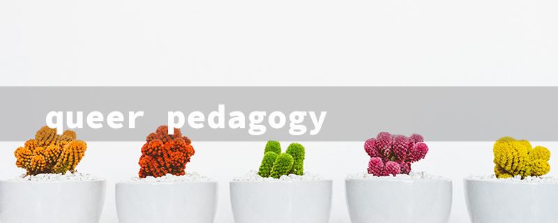 queer pedagogy（Queer Pedagogy: Inclusive Teaching）