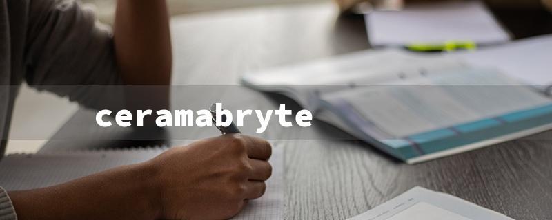 ceramabryte（Cerama Bryte: Title Word Limit - 15 Characters）