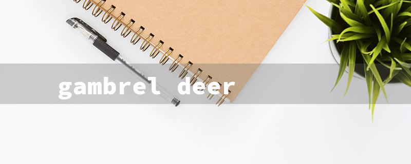 gambrel deer（Gambrel Deer Hanger）