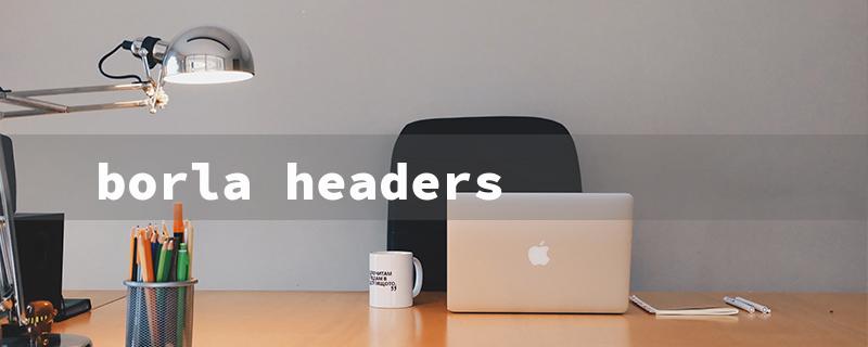 borla headers（FRS Borla Headers: Title Word Requirements）