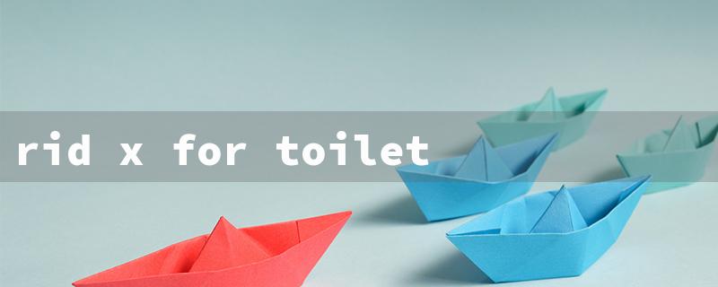 rid x for toilets（Rid-X for Toilet Clog）