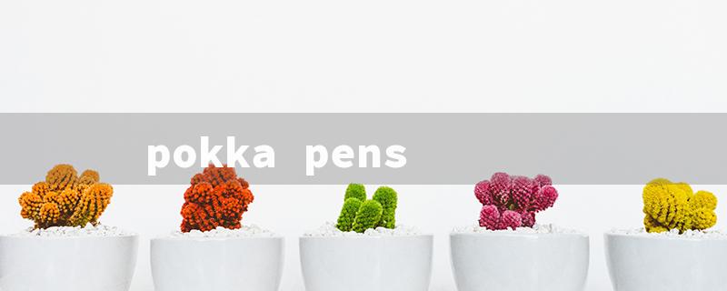 pokka pens（Pokka Pens UK: Title Word Requirements）